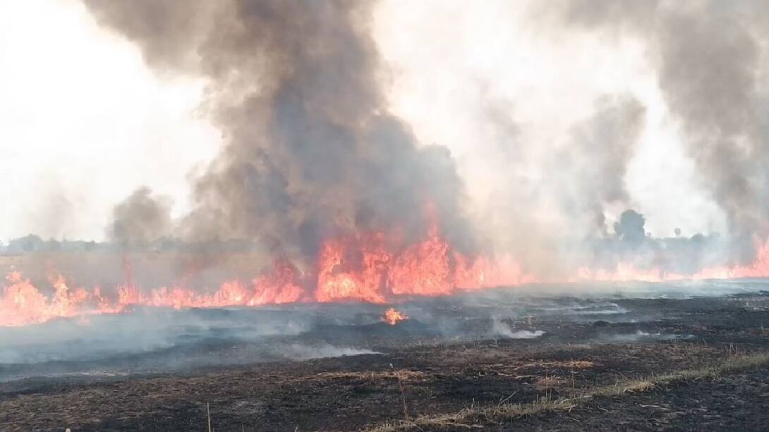 Fire in J&K : भीषण गर्मी में भयंकर आग में सैकड़ों एकड़ फसल जलकर बर्बाद!